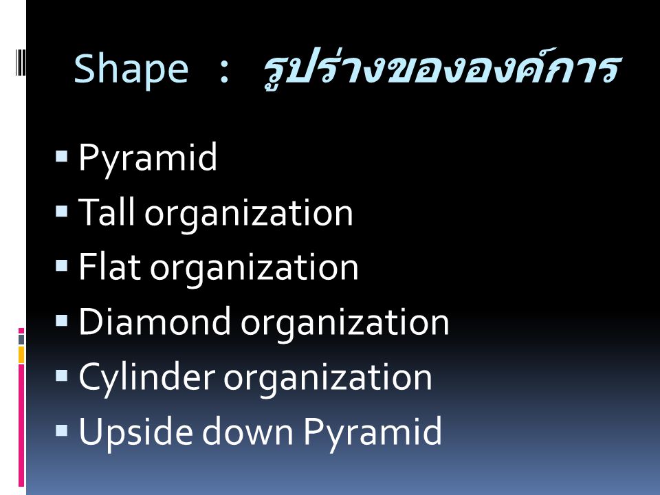 Shape : รูปร่างขององค์การ