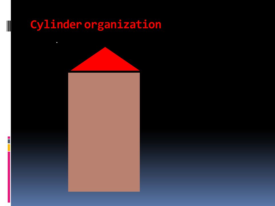 Cylinder organization