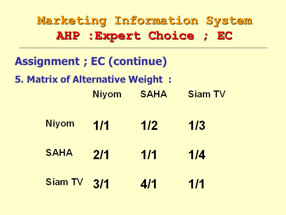 Marketing Information System AHP :Expert Choice ; EC