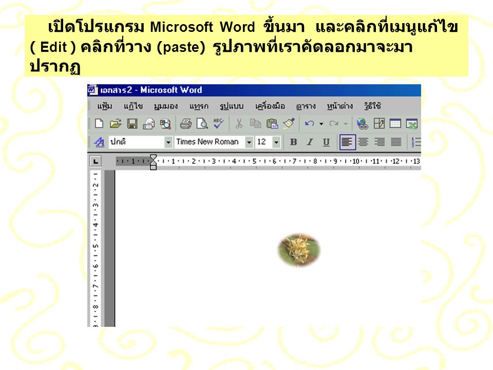 เปิดโปรแกรม Microsoft Word ขึ้นมา และคลิกที่เมนูแก้ไข ( Edit ) คลิกที่วาง (paste) รูปภาพที่เราคัดลอกมาจะมาปรากฏ