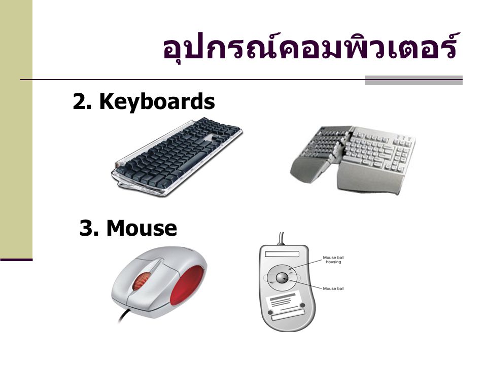อุปกรณ์คอมพิวเตอร์ 2. Keyboards 3. Mouse