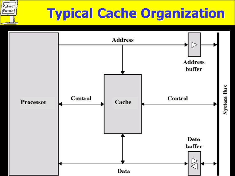 Typical Cache Organization