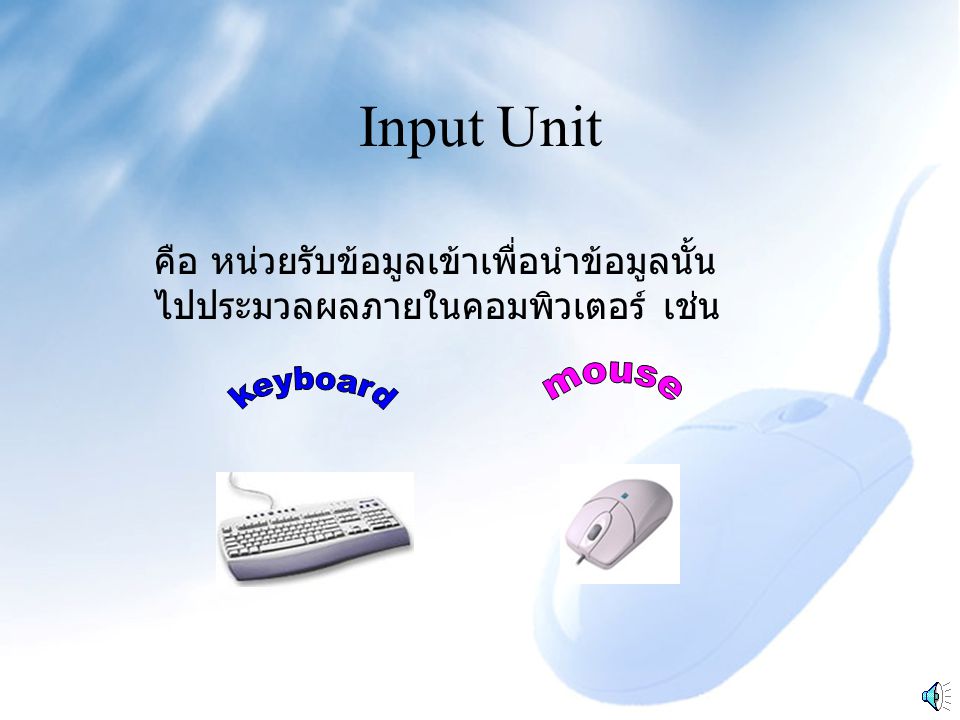 Input Unit mouse keyboard