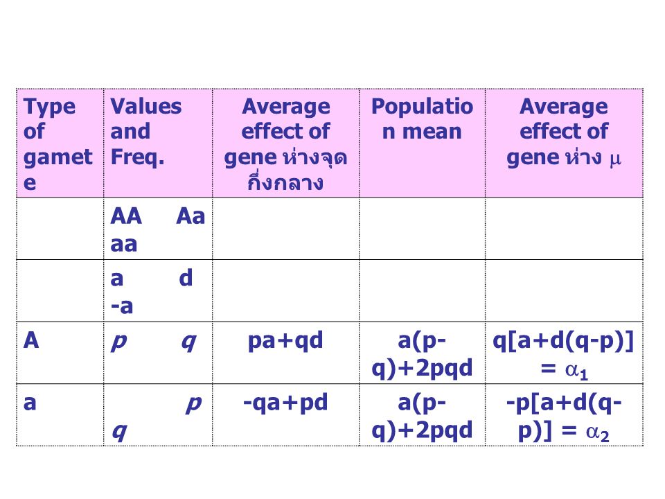 Average effect of gene ห่างจุดกึ่งกลาง Average effect of gene ห่าง 