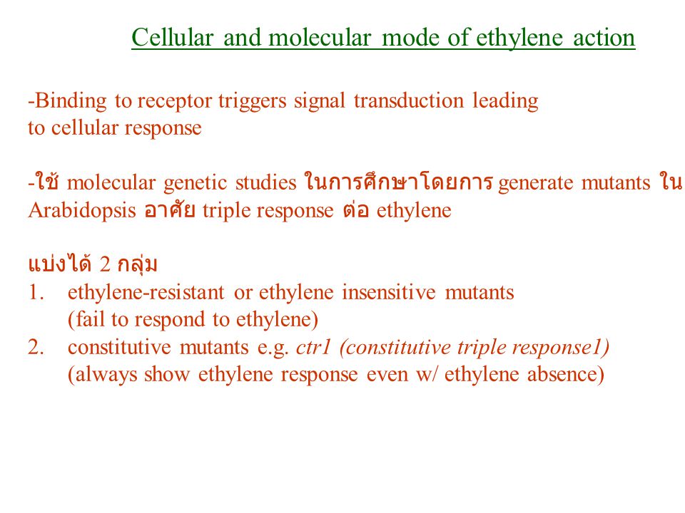 Cellular and molecular mode of ethylene action