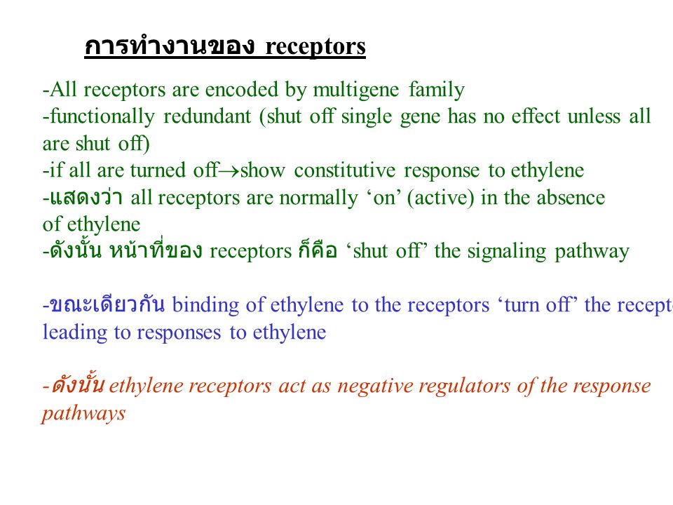 การทำงานของ receptors
