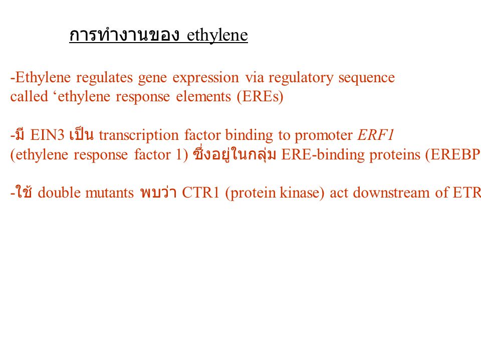 การทำงานของ ethylene -Ethylene regulates gene expression via regulatory sequence. called ‘ethylene response elements (EREs)