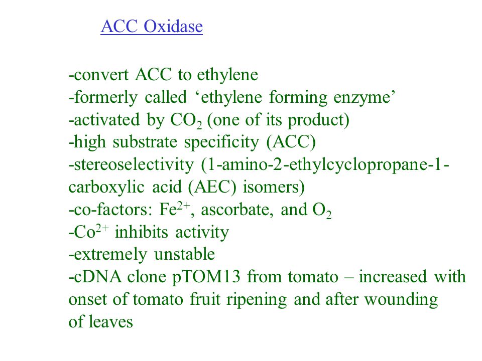 ACC Oxidase -convert ACC to ethylene. -formerly called ‘ethylene forming enzyme’ -activated by CO2 (one of its product)