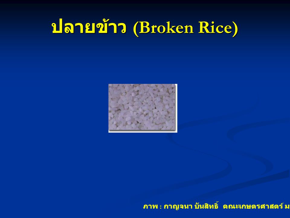 ปลายข้าว (Broken Rice)