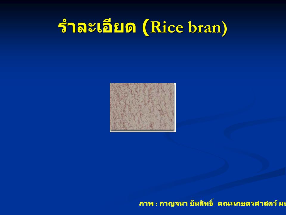 รำละเอียด (Rice bran) ภาพ : กาญจนา บันสิทธิ์ คณะเกษตรศาสตร์ มหาวิทยาลัยอุบลราชธานี