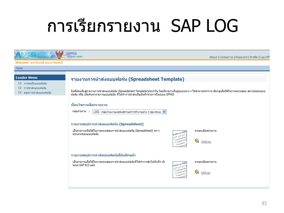 การเรียกรายงาน SAP LOG