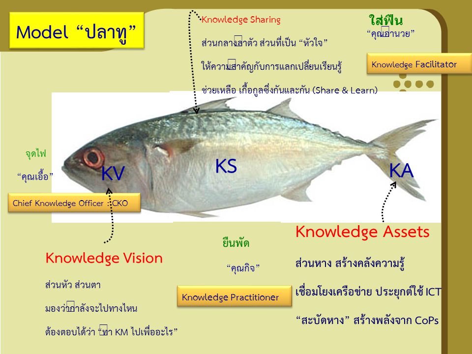 KS KA KV Model ปลาทู Knowledge Assets Knowledge Vision