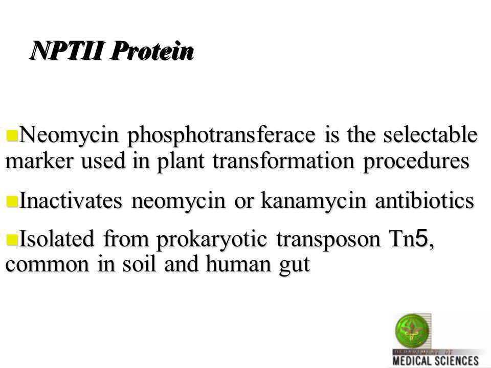 NPTII Protein Neomycin phosphotransferace is the selectable marker used in plant transformation procedures.