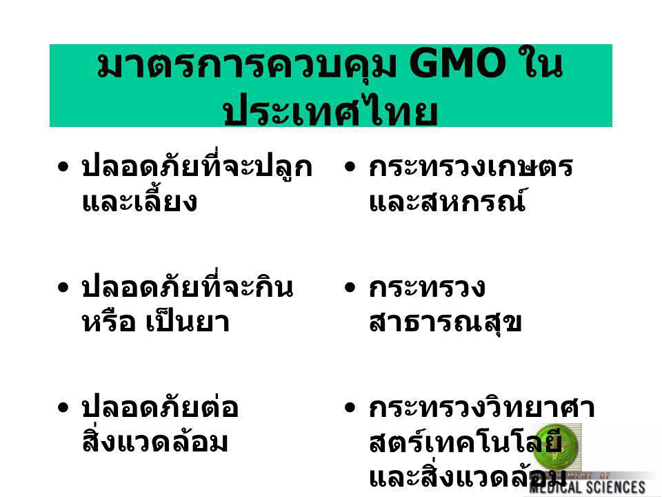 มาตรการควบคุม GMO ในประเทศไทย