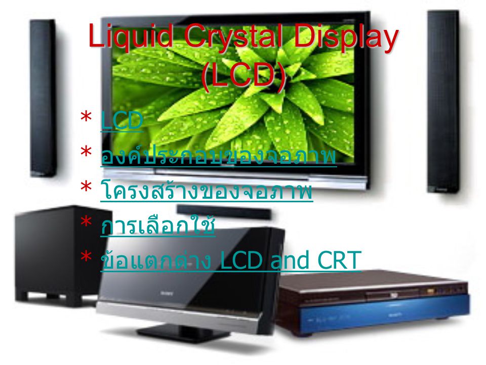 Liquid Crystal Display (LCD)