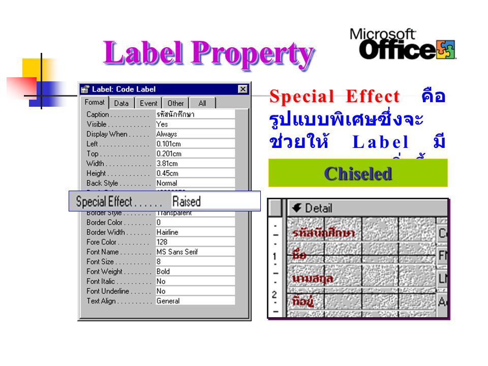Label Property Special Effect คือรูปแบบพิเศษซึ่งจะช่วยให้ Label มีความสวยงามยิ่งขึ้น. Shadowed.
