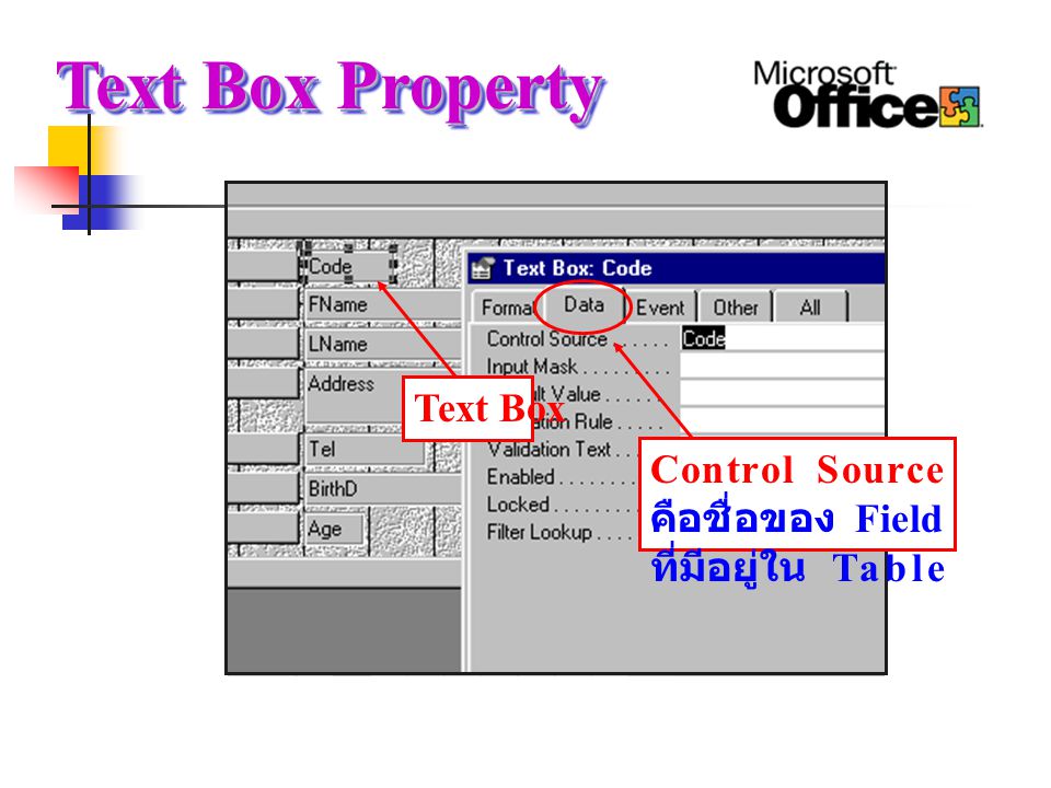 Text Box Property Text Box