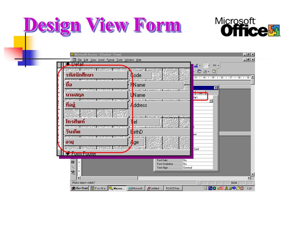 Design View Form