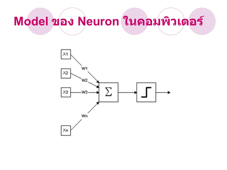 Model ของ Neuron ในคอมพิวเตอร์