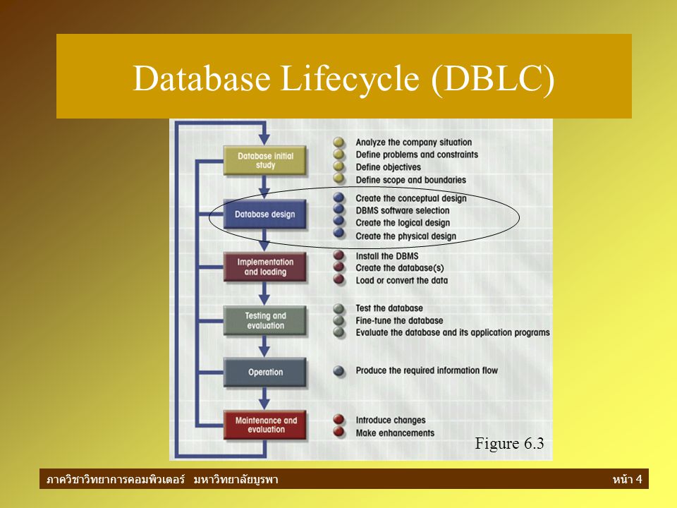 Database Lifecycle (DBLC)