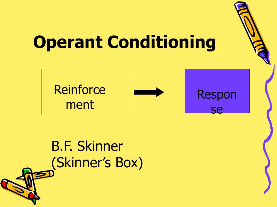 Operant Conditioning B.F. Skinner (Skinner’s Box) Reinforcement