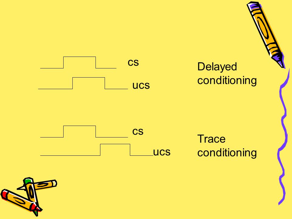 cs Delayed conditioning ucs cs Trace conditioning ucs