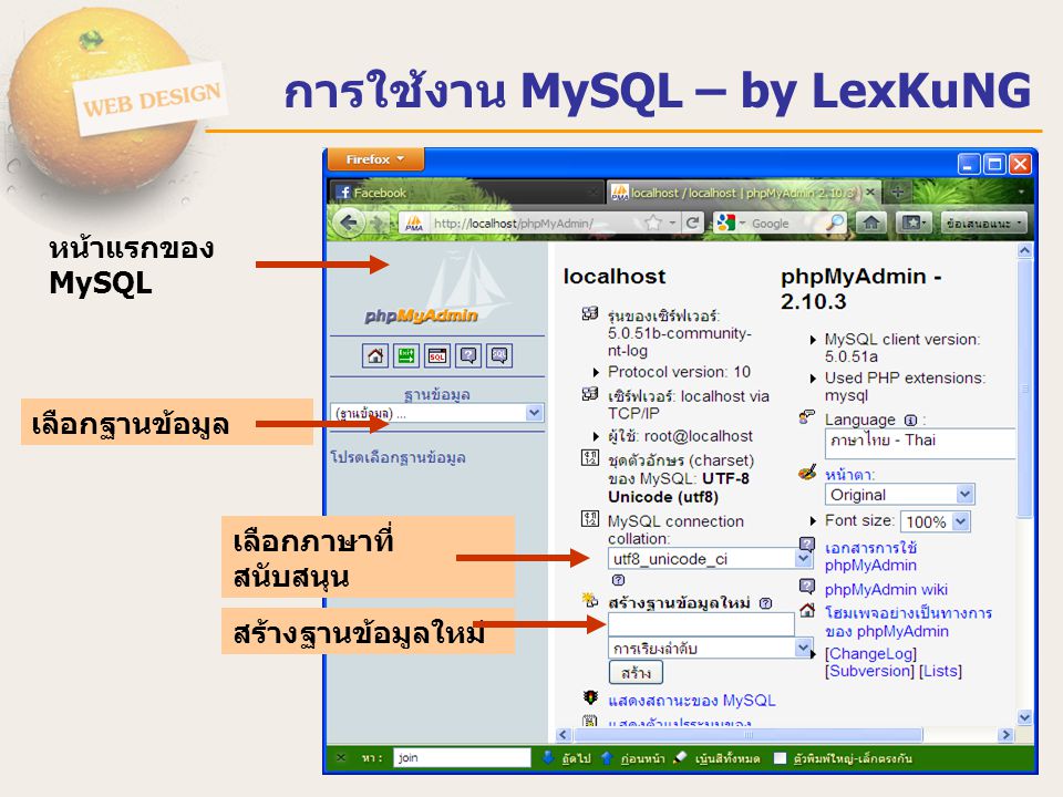 การใช้งาน MySQL – by LexKuNG