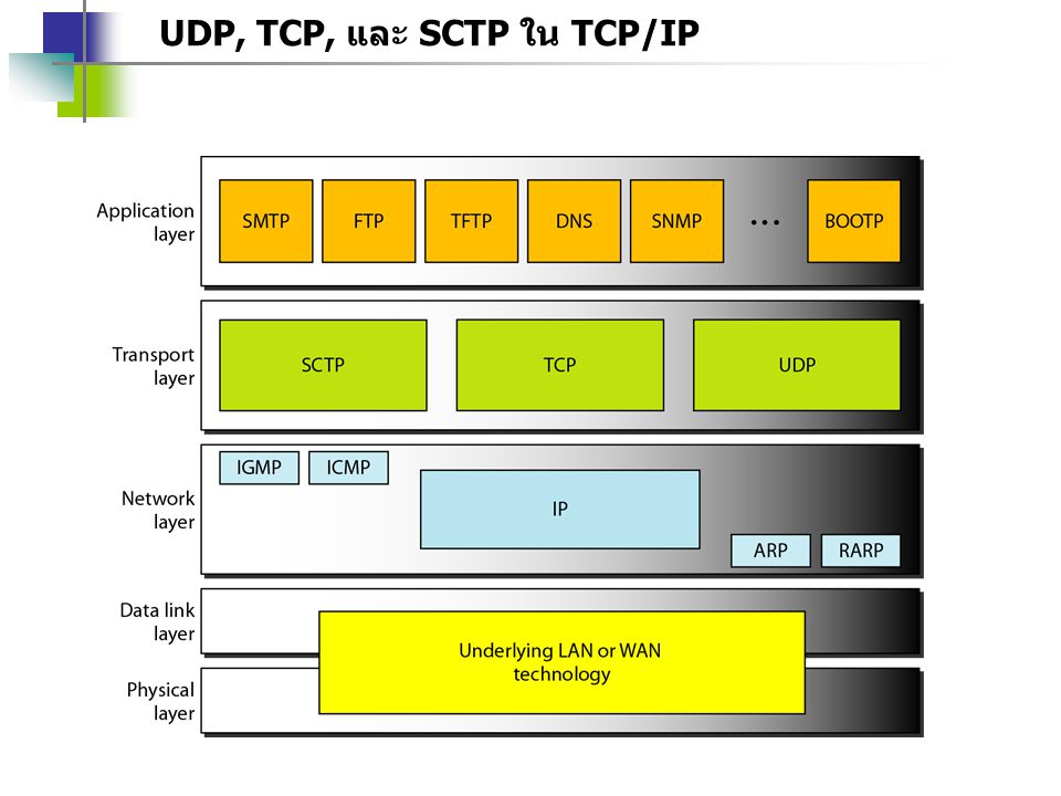 UDP, TCP, และ SCTP ใน TCP/IP