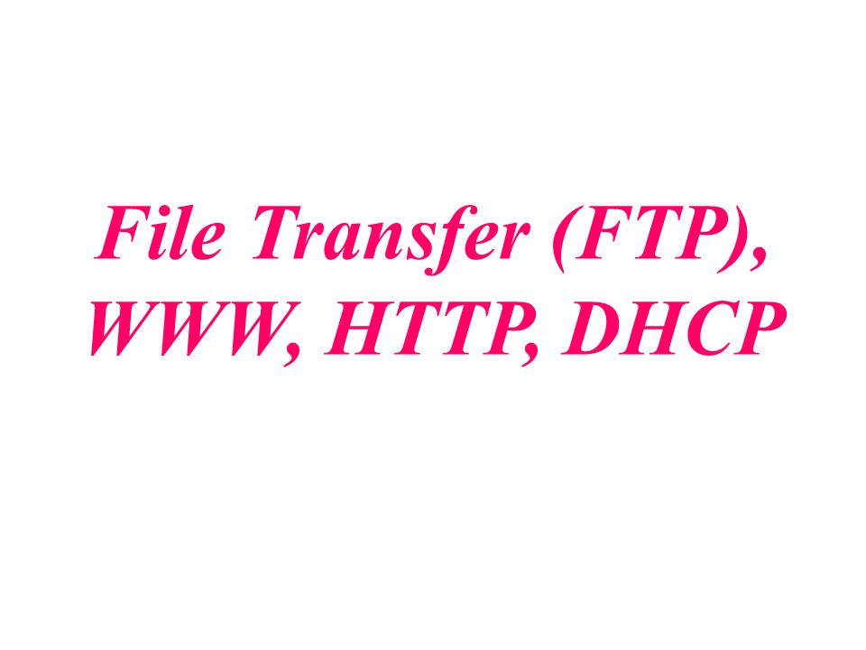 File Transfer (FTP), WWW, HTTP, DHCP