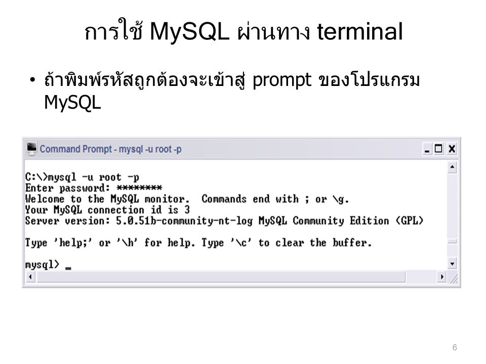 การใช้ MySQL ผ่านทาง terminal