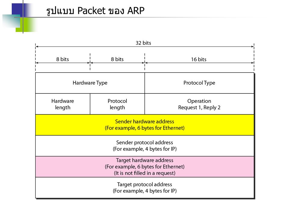 รูปแบบ Packet ของ ARP