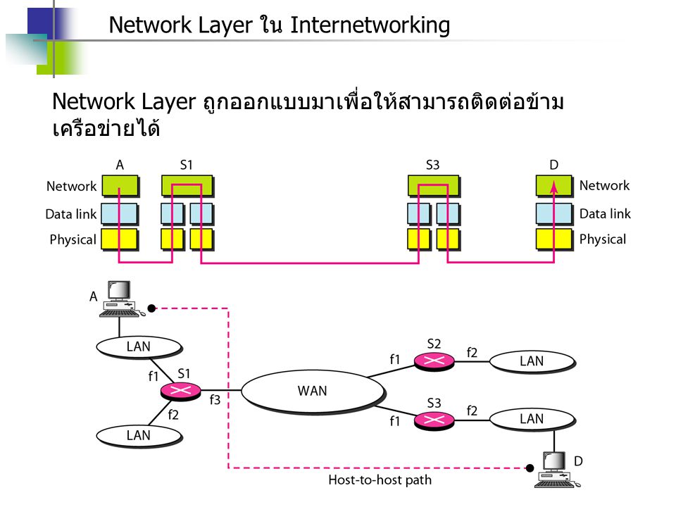 Network Layer ใน Internetworking
