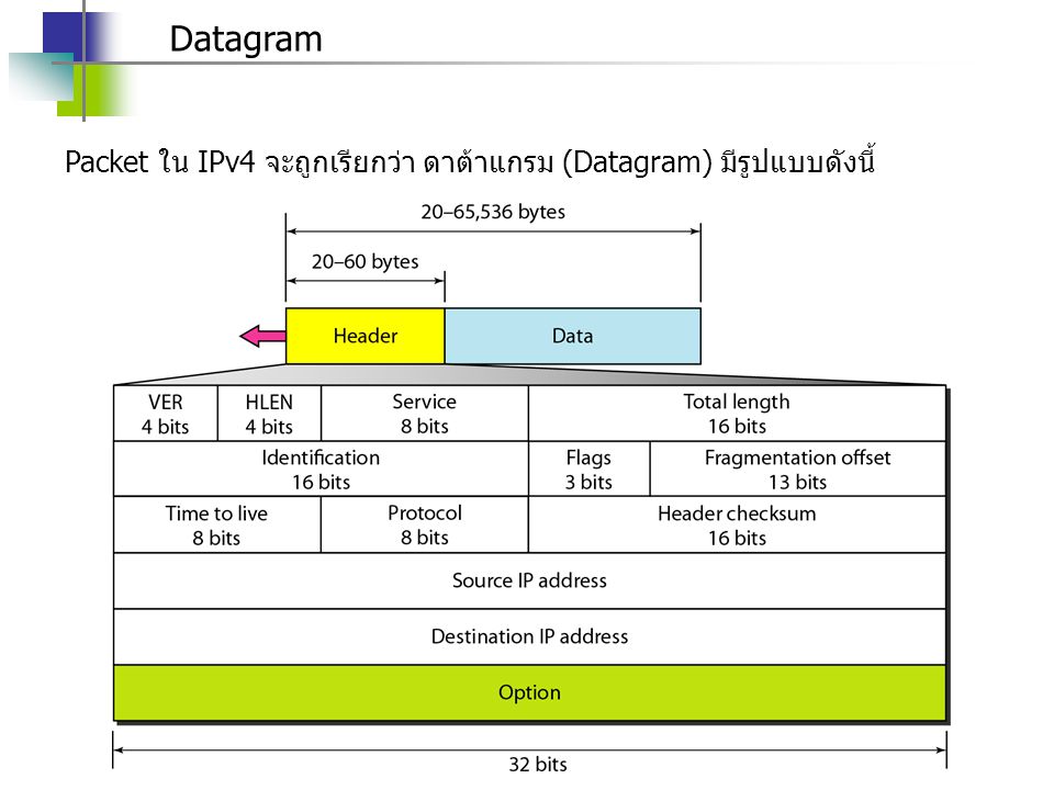 Datagram Packet ใน IPv4 จะถูกเรียกว่า ดาต้าแกรม (Datagram) มีรูปแบบดังนี้