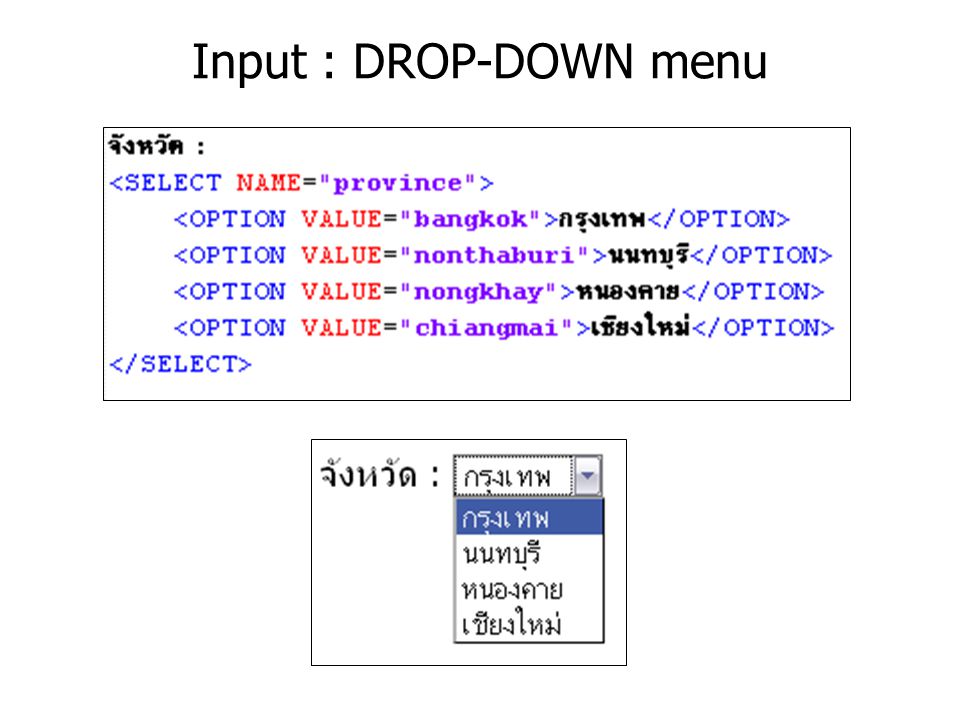 Input : DROP-DOWN menu