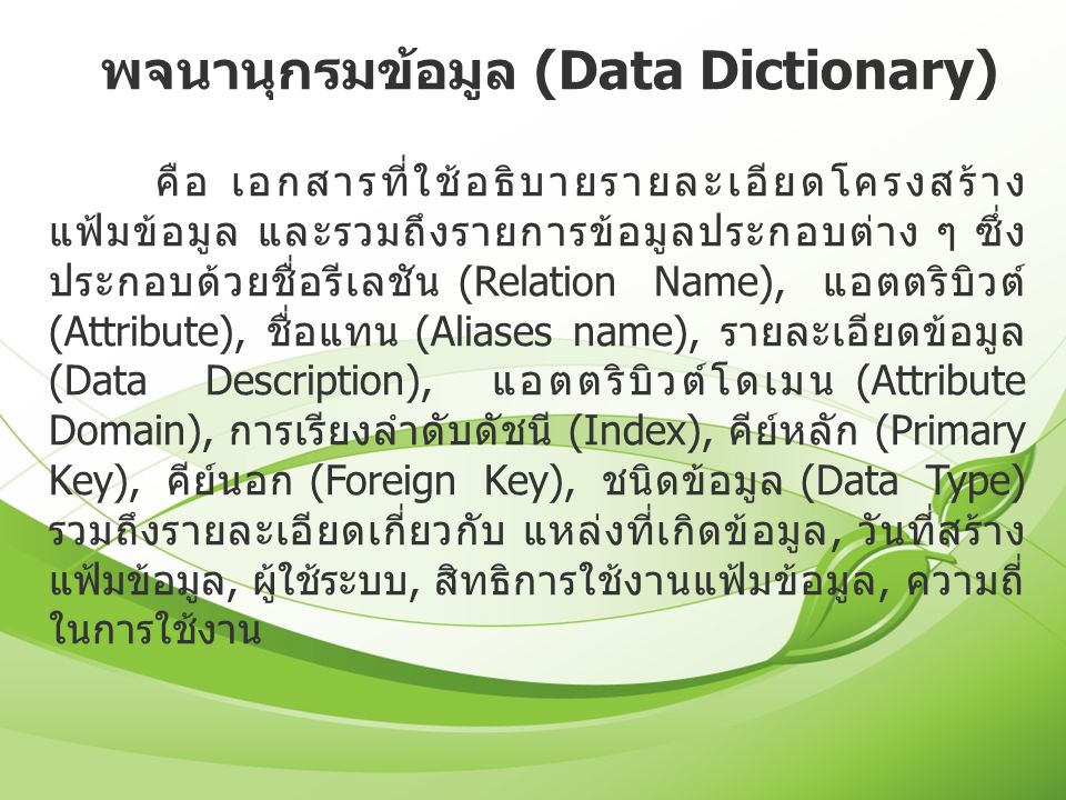 พจนานุกรมข้อมูล (Data Dictionary)