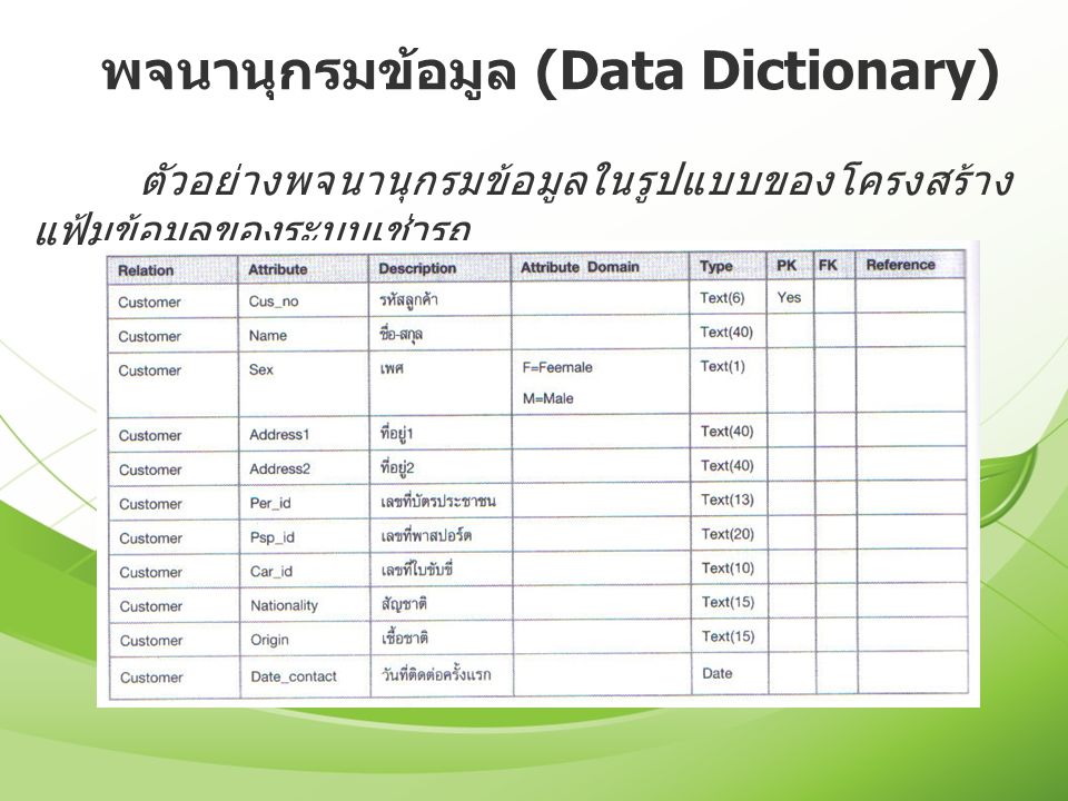 พจนานุกรมข้อมูล (Data Dictionary)
