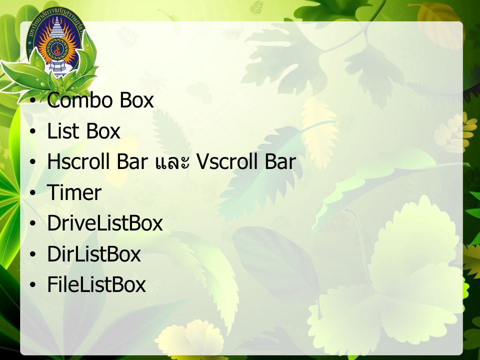 Combo Box List Box Hscroll Bar และ Vscroll Bar Timer DriveListBox DirListBox FileListBox