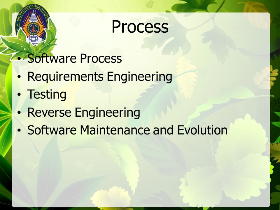 Process Software Process Requirements Engineering Testing