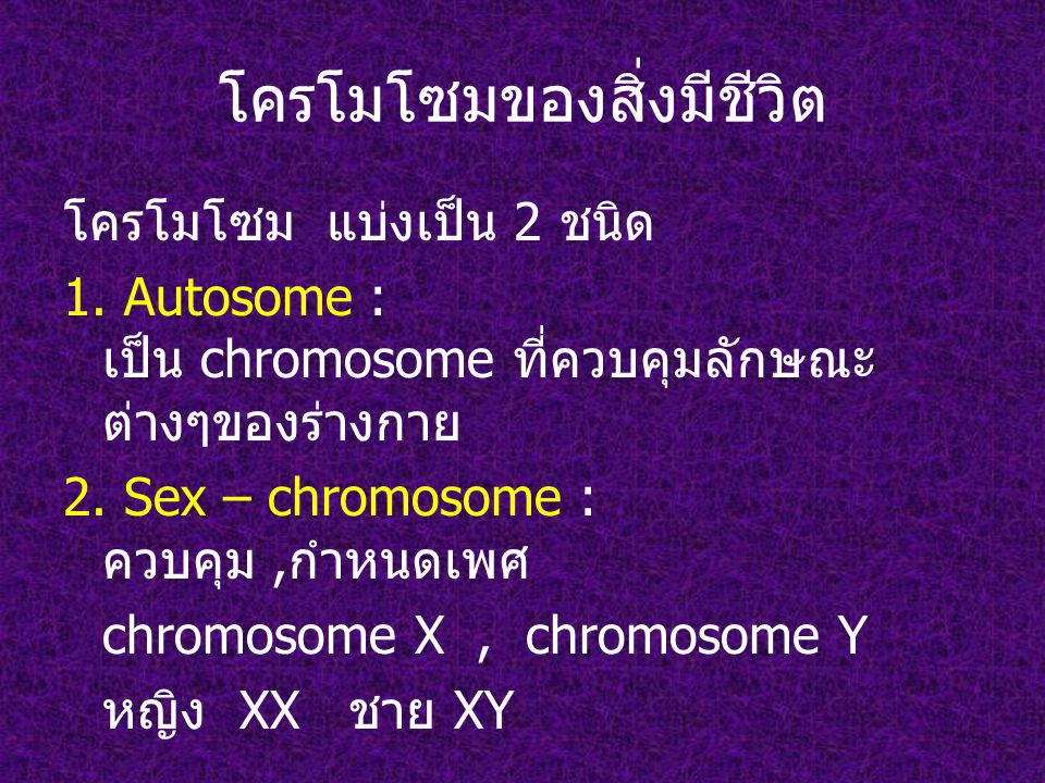 โครโมโซมของสิ่งมีชีวิต