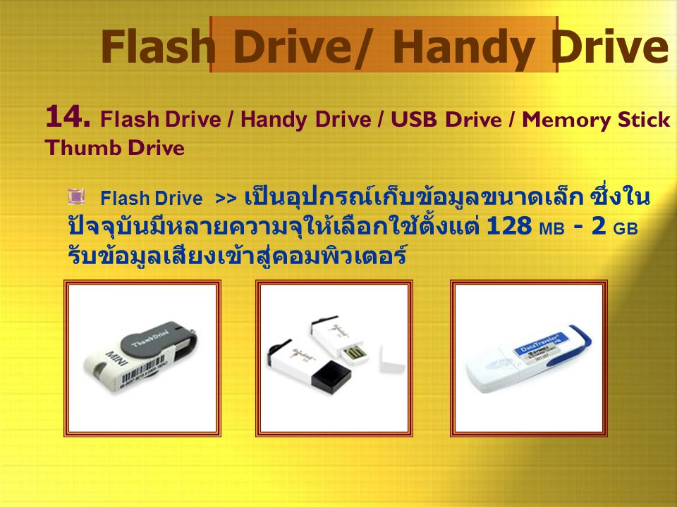 Flash Drive/ Handy Drive