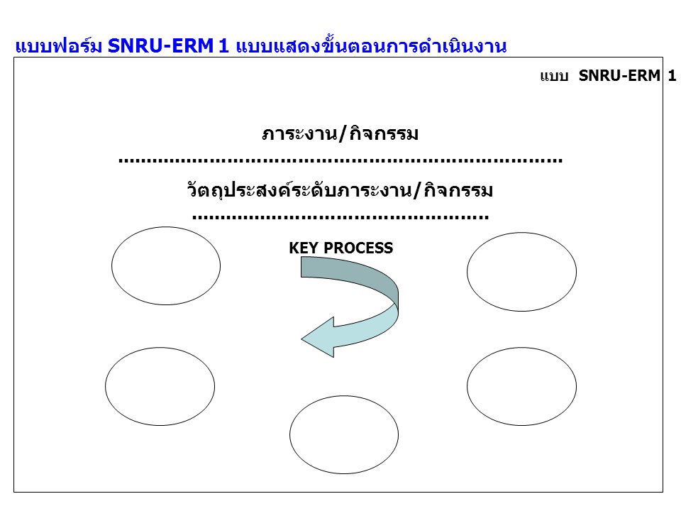แบบฟอร์ม SNRU-ERM 1 แบบแสดงขั้นตอนการดำเนินงาน
