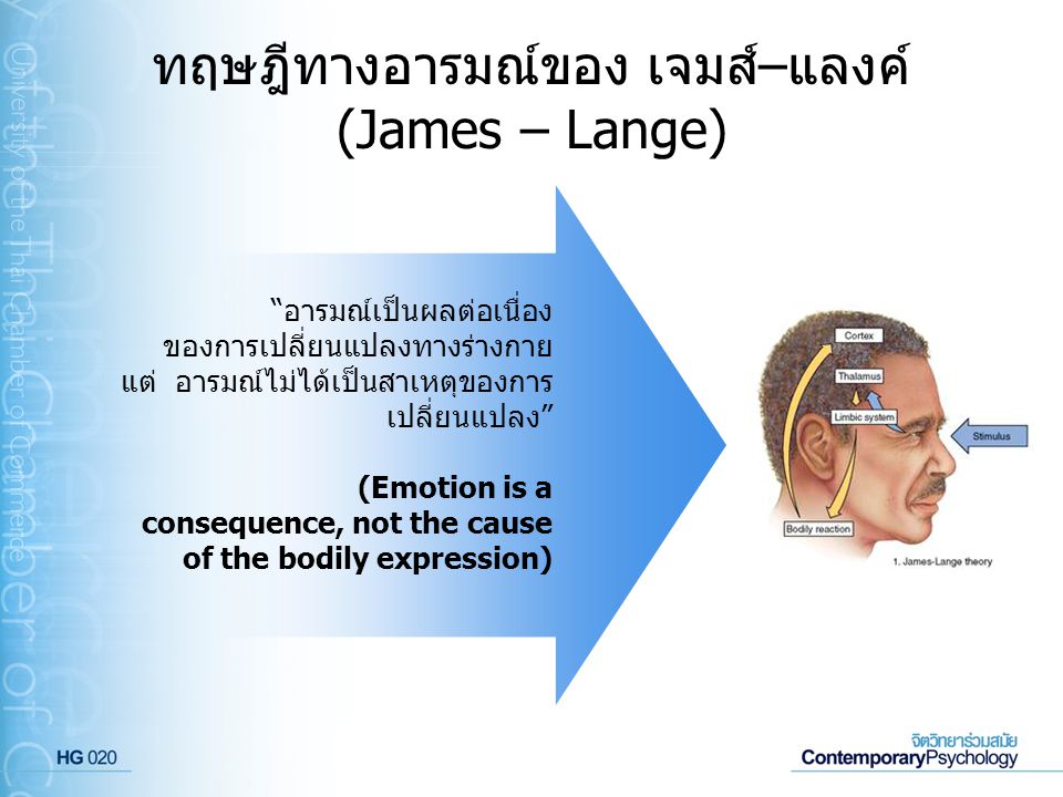 ทฤษฎีทางอารมณ์ของ เจมส์–แลงค์ (James – Lange)