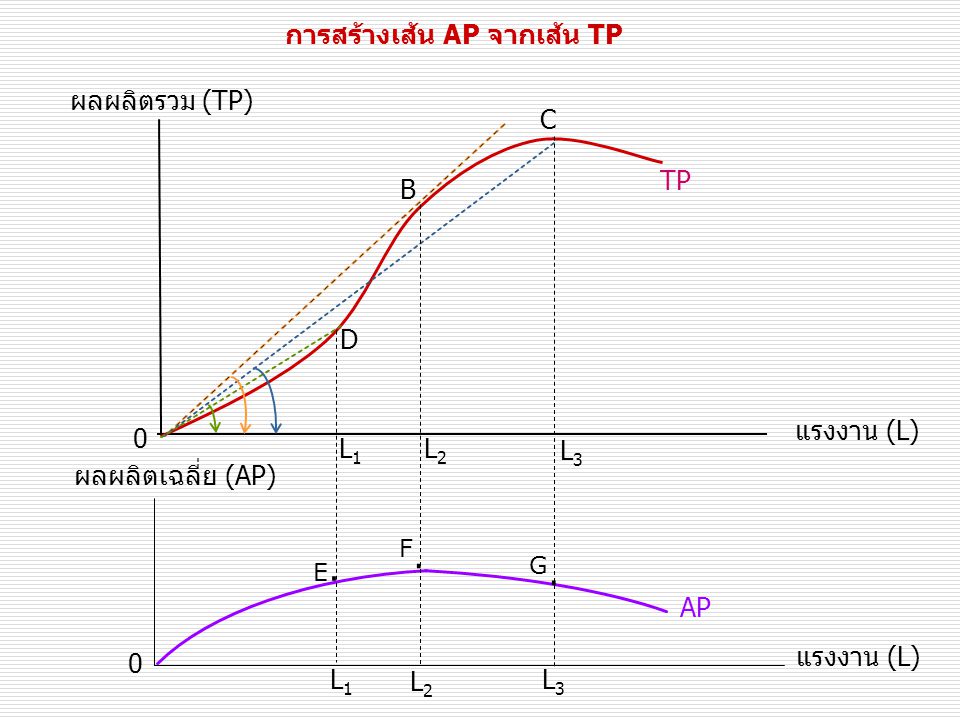 การสร้างเส้น AP จากเส้น TP