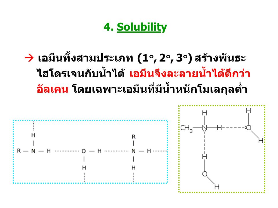 4. Solubility  เอมีนทั้งสามประเภท (1๐, 2๐, 3๐) สร้างพันธะ. ไฮโดรเจนกับน้ำได้ เอมีนจึงละลายน้ำได้ดีกว่า.