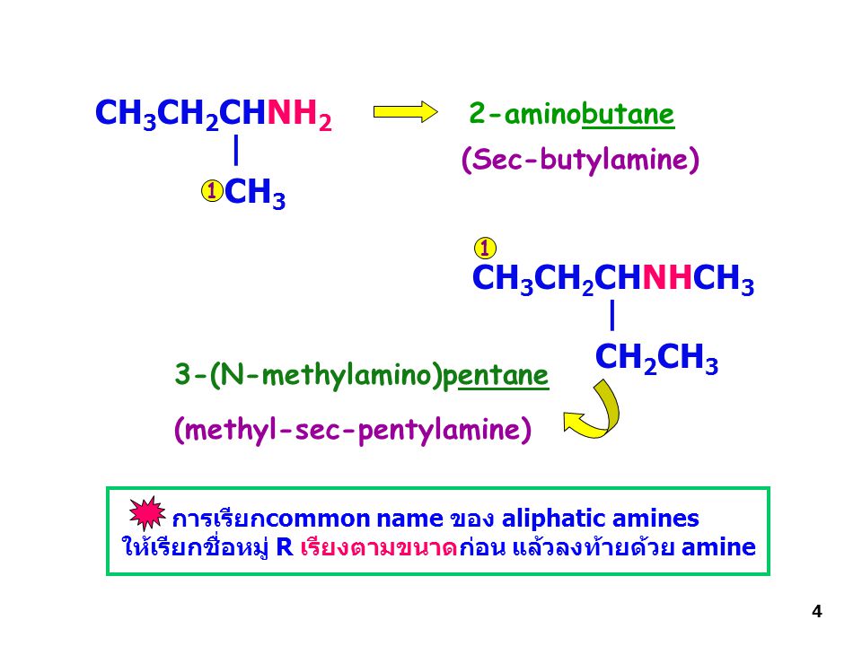 CH3CH2CHNH2 | CH3 CH3CH2CHNHCH3 | CH2CH3 2-aminobutane