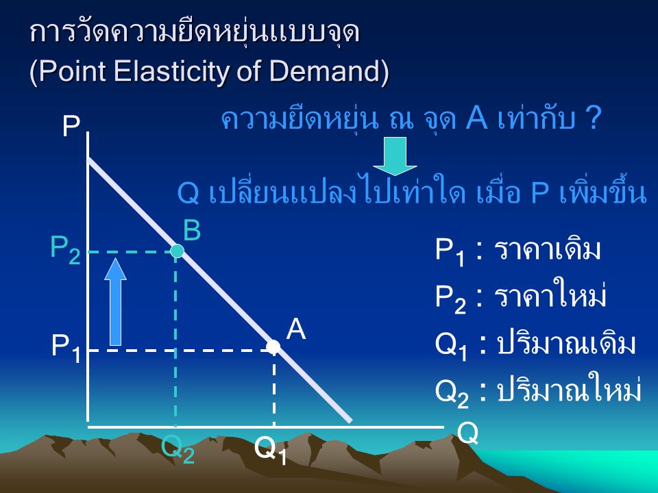 การวัดความยืดหยุ่นแบบจุด (Point Elasticity of Demand)