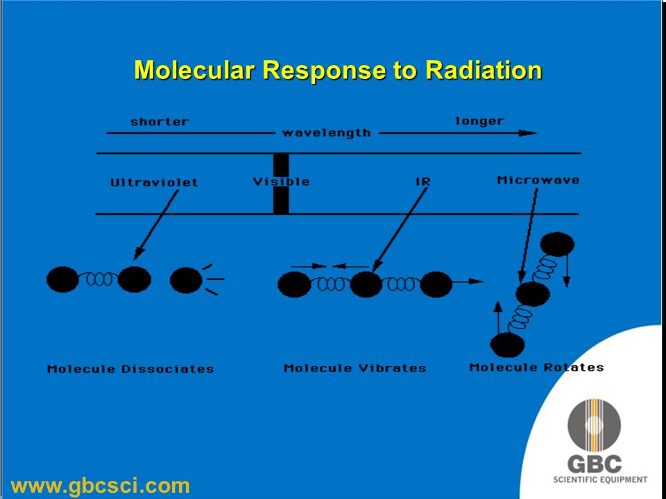 Molecular Response to Radiation
