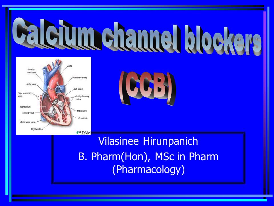 Vilasinee Hirunpanich B. Pharm(Hon), MSc in Pharm (Pharmacology)