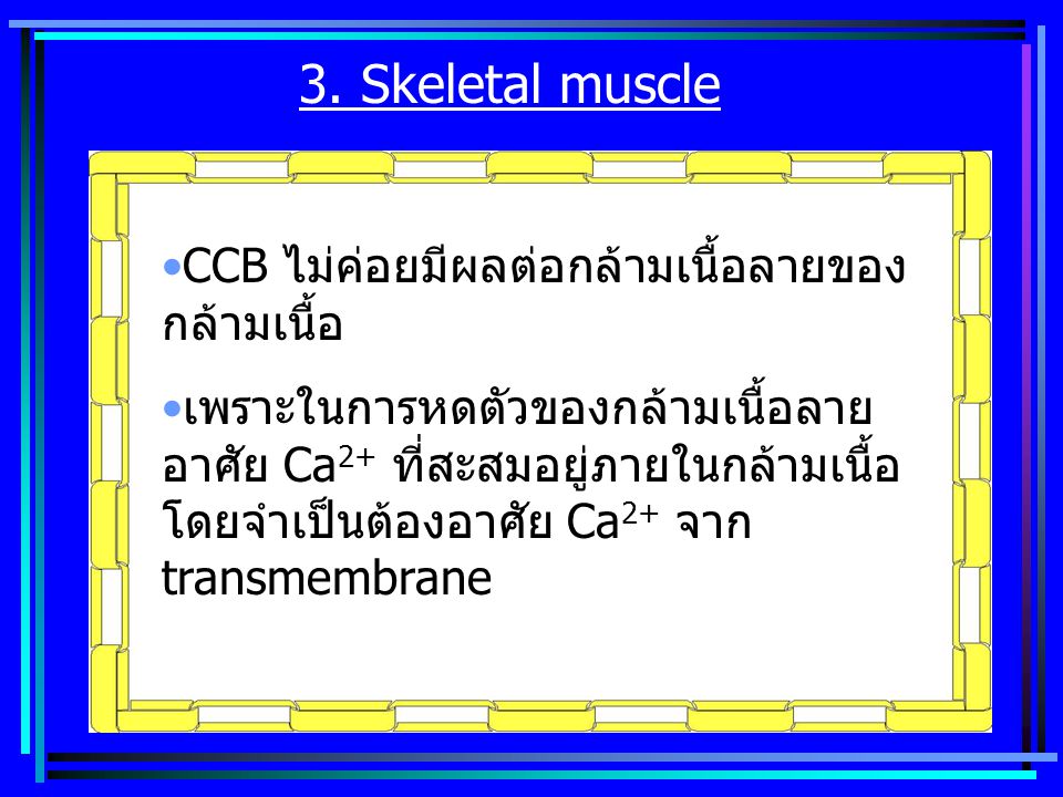 3. Skeletal muscle CCB ไม่ค่อยมีผลต่อกล้ามเนื้อลายของกล้ามเนื้อ