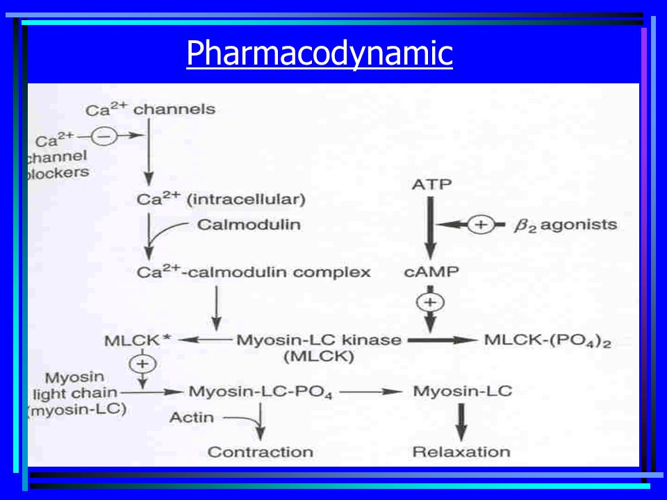 Pharmacodynamic